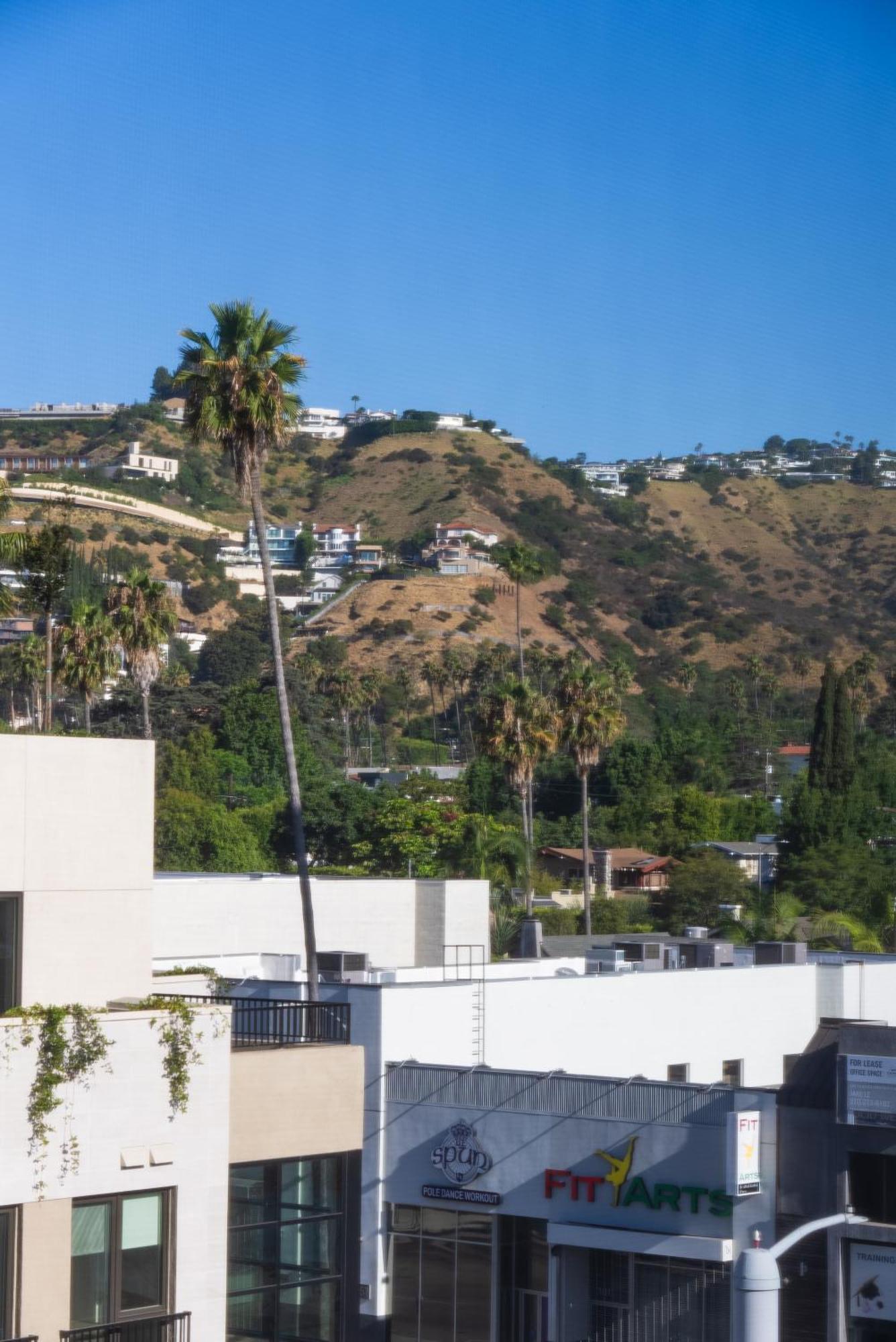 Bright Studio On Sunset Blvd, Free Parking, Gym, And Pool Los Angeles Dış mekan fotoğraf